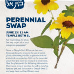 Perennial Swap