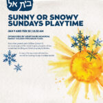 Sunny or Snowy Sundays