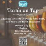 Torah on Tap
